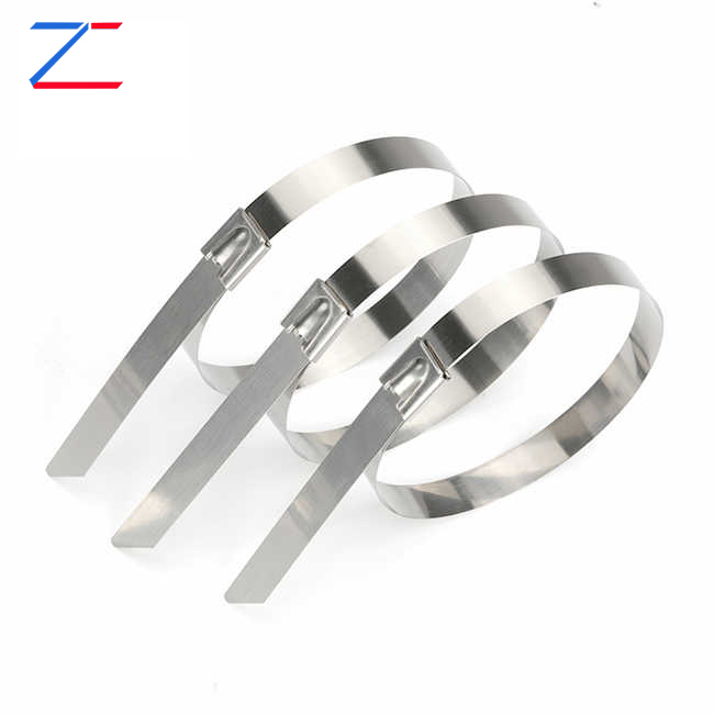 Quomodo Ball Lock Stainless Steel Cable Vincula libera singularis Diuturnitatem et euismod?